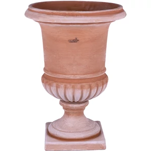 Coppa Vanvitelli 85cm