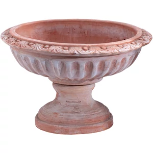 Coppa Baccellata 45cm