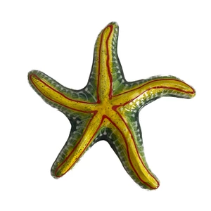 Tengeri csillag 20cm