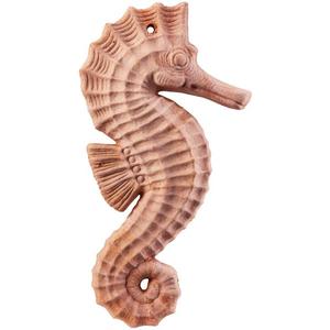 Csikóhal 22cm