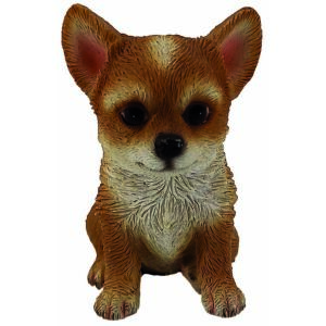 Chihuahua mignon 6cm