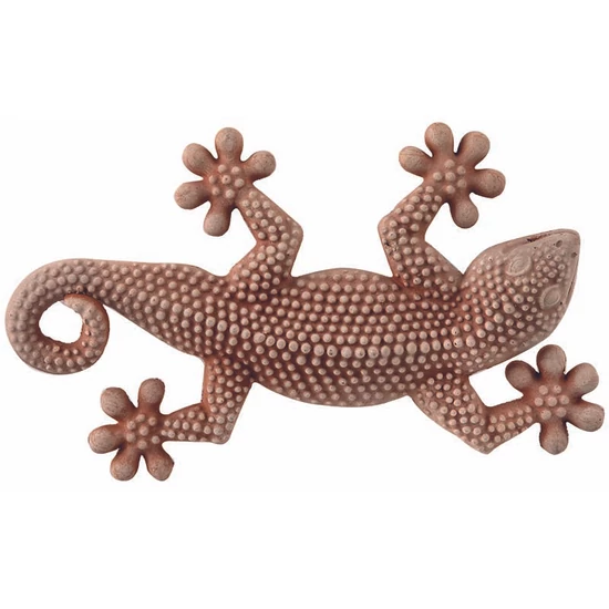 Gekkó Muraiolo 18cm