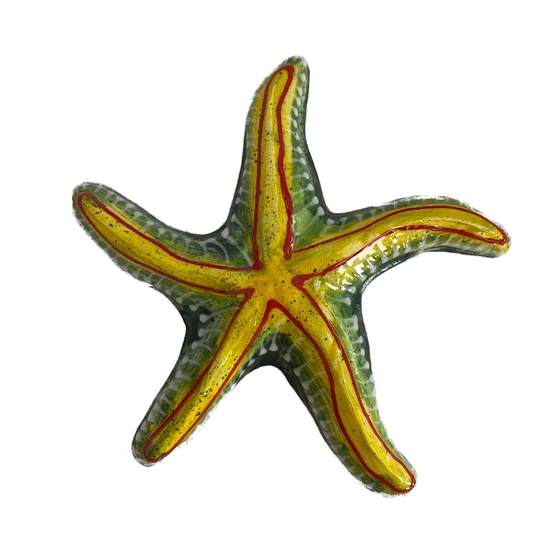 Tengeri csillag 20cm