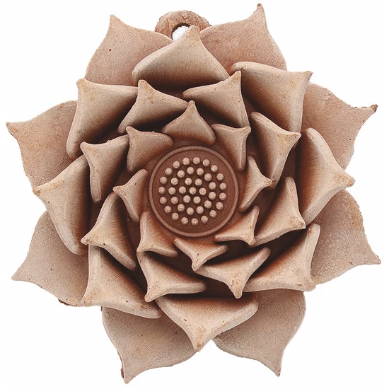 Rosa 15cm