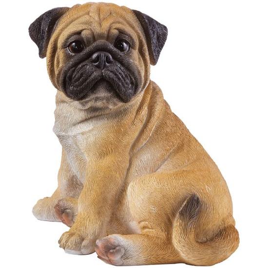 Bulldog Giasone 20cm