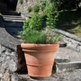 Kép 2/2 - Virágcserép Doppio Bordo 50cm