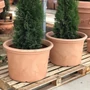Kép 3/5 - Campana-80 terrakotta
