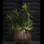 Kép 2/5 - Titano-95 bronz