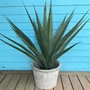 Kép 2/2 - Virágcserép Cilinder szürke 22cm