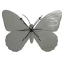 Kép 2/2 - Lepke 55cm
